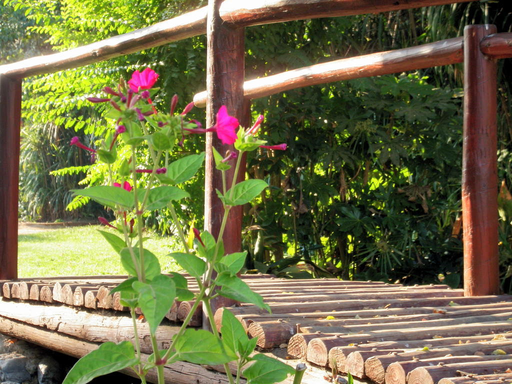 El Copihue Olmue Hotel Ngoại thất bức ảnh